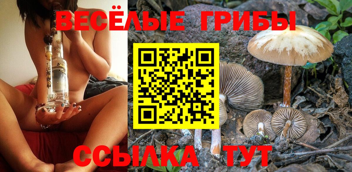 Галлюциногенные грибы Magic Shrooms  Вход с VPN  Назарово 